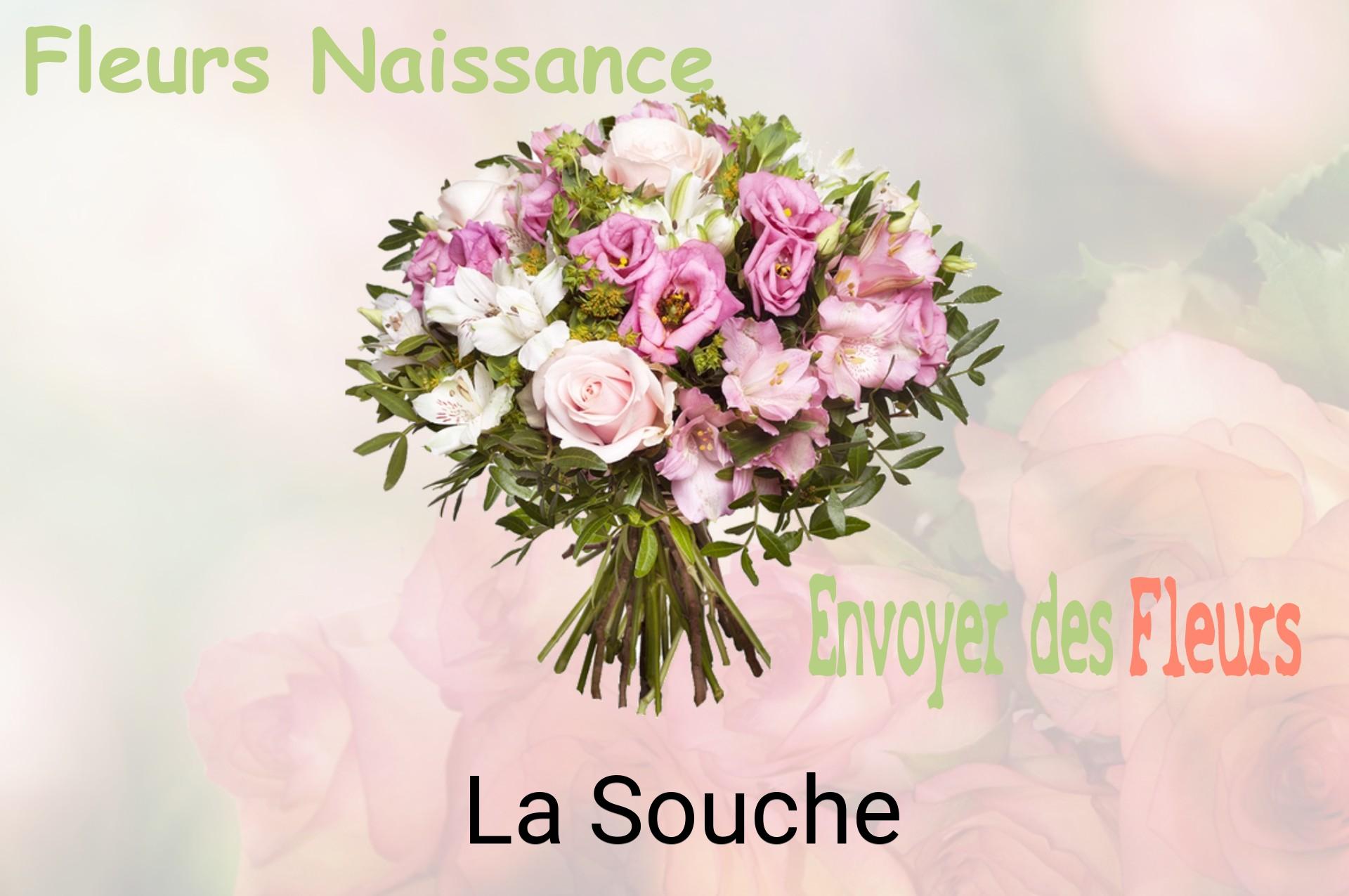 Bouquet de fleurs de naissance livré à La Souche