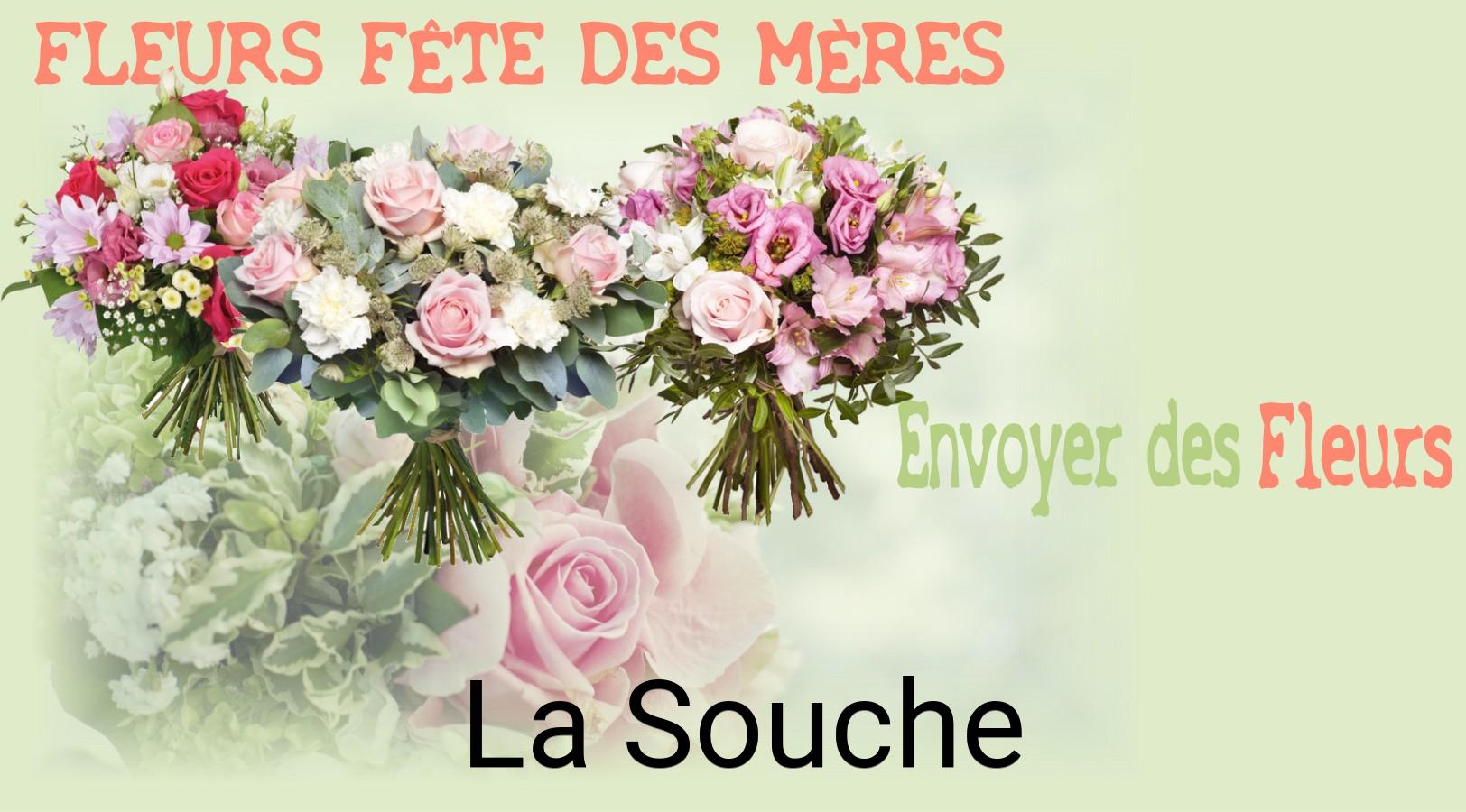 Bouquet de Fête des Mères livré à La Souche
